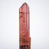 VäyrynenitaShengus (Shingus), Distrito Roundu, Gilgit-Baltistan (Áreas del Norte), Paquistán1.5 x 0.5 x 5.5 cm / cristal principal: 5.3 cm (Autor: Museo MIM)