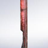 VäyrynenitaShengus (Shingus), Distrito Baltistán, Gilgit-Baltistan (Áreas del Norte), Paquistán1.5 x 0.5 x 9 cm / cristal principal: 8.8 cm (Autor: Museo MIM)