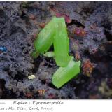 Pyromorphite<br />Mas Dieu, Mercoirol, Alès, Gard, Occitanie, France<br />fov 3.9 mm<br /> (Author: ploum)