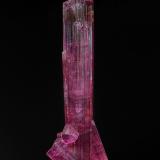 Elbaite (variety rubellite)<br />Jonas pocket, Itatiaia, Conselheiro Pena, Vale do Rio Doce, Minas Gerais, Brazil<br />7.7 x 2.5 cm<br /> (Author: am mizunaka)