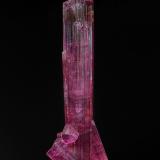 Elbaite (variety rubellite)Jonas pocket, Itatiaia, Conselheiro Pena, Vale do Rio Doce, Minas Gerais, Brazil7.7 x 2.5 cm (Author: am mizunaka)