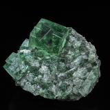 Fluorite<br />Rogerley Mine, Diana Maria Mine (Sutcliffe Vein) , Frosterley, Weardale, North Pennines Orefield, County Durham, England / United Kingdom<br />6.9 x 6.0 cm<br /> (Author: am mizunaka)