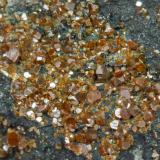Pucherita, Bismuto<br />Pozo Pucher, zona minera Wolfgang Maaßen, Distrito Schneeberg, Erzgebirgskreis, Sajonia/Sachsen, Alemania<br />Campo de visión 1 cm.<br /> (Autor: Antonio P. López)