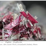 Erythrite with QuartzMina Bou Azzer, Distrito minero Bou Azzer, Provincia Ouarzazate, Región Drâa-Tafilalet, Marruecosfov 12.7 mm (Author: ploum)