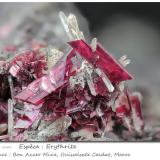 Erythrite with Quartz<br />Bou Azzer Mine, Bou Azzer mining district, Ouarzazate Province, Drâa-Tafilalet Region, Morocco<br />fov 12.7 mm<br /> (Author: ploum)