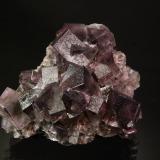 Fluorite<br />Lady Annabella Mine, Eastgate, Weardale, North Pennines Orefield, County Durham, England / United Kingdom<br /><br /> (Author: Michael Shaw)
