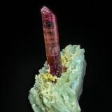 Elbaite (variety rubellite), AlbiteOuro Fino, Minas Gerais, Brazil9.6 x 4.6 cm (Author: am mizunaka)