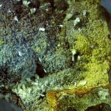 Ferrierite-Mg<br />Wildon (former Weitendorf), Leibnitz District, Styria/Steiermark, Austria<br />2,5 x 1,5 cm<br /> (Author: Volkmar Stingl)