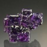 Fluorite<br />Ojuela Mine, Mapimí, Municipio Mapimí, Durango, Mexico<br />2.3 x 2.0 cm<br /> (Author: Michael Shaw)