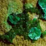Tyrolite, Cuproadamite<br />Gratlspitze, Thierbach, Wildschönau, Kufstein District, Inn Valley, North Tyrol, Tyrol/Tirol, Austria<br />FoV ca. 1,5 x 0,8 cm<br /> (Author: Volkmar Stingl)