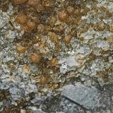 Rhodochrosite, ReddingiteFoote Lithium Co. Mine (Foote Mine), Kings Mountain District, Cleveland County, North Carolina, USA (Author: am mizunaka)