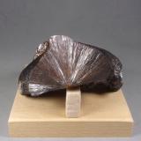 Goethita<br />Zona Crystal Peak, Condado Teller, Colorado, USA<br />8,3 × 6,5 × 3,7 cm.  408 g.<br /> (Autor: J. G. Alcolea)