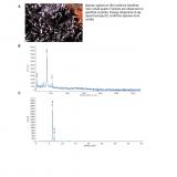 Goethite-JF2310-1.jpg (Author: Jordi Fabre)