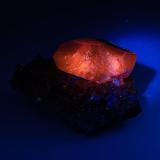Calcita<br />Mina Tonglüshan, Edong, Daye, Prefectura Huangshi, Provincia Hubei, China<br />81 mm x 51 mm x 49 mm. Cristal principal: 49 mm de largo. Masa: 144 g.<br /> (Autor: Carles Millan)