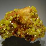 PyromorphiteWheal Alfred, Phillack, Cornwall, Inglaterra / Reino Unido3.6 x 2.7 cm (Author: Michael Shaw)