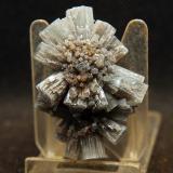 AragonitoLoma Bada, Petrer, Comarca Medio Vinalopó, Alicante / Alacant, Comunidad Valenciana / Comunitat Valenciana, España5 x 3.5 cm (Autor: Pedro Antonio)