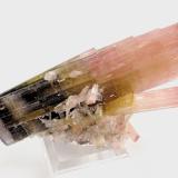 Elbaite<br />Stak Nala, Haramosh Mountains, Skardu District, Gilgit-Baltistan (Northern Areas), Pakistan<br />80 mm x 40 mm. Largest Crystal Size: 80 mm. Mass (weight): 74 g<br /> (Author: Carles Millan)