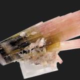 Elbaíta<br />Stak Nala, Montes Haramosh, Distrito Skardu, Gilgit-Baltistan (Áreas del Norte), Paquistán<br />80 mm x 40 mm. Cristal principal: 80 mm. Masa: 74 g.<br /> (Autor: Carles Millan)