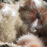 Mesolite on ThomsoniteKhadakwani, Distrito Khargone, Madhya Pradesh, India6 x 4,5 cm (Author: Volkmar Stingl)