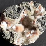 Mesolite on ThomsoniteKhadakwani, Distrito Khargone, Madhya Pradesh, India6 x 4,5 cm (Author: Volkmar Stingl)