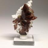 Axinite<br />Rochers de l'Armentier, Le Bourg d'Oisans, Grenoble, Isère, Auvergne-Rhône-Alpes, France<br />40mm x 25mm x 20mm<br /> (Author: Philippe Durand)