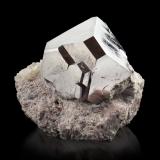Carrollite<br />Kamoya, Kambove District, Katanga Copper Crescent, Katanga (Shaba), Democratic Republic of the Congo (Zaire)<br />10 x 10 x 8.5 cm / main crystal: 7.3 cm<br /> (Author: MIM Museum)