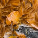 Wulfenita y Barita<br />Mibladen (distrito minero Mibladen), Midelt, Provincia Midelt, Región Drâa-Tafilalet, Marruecos<br />Cristal de 1,3 cm.<br /> (Autor: castrominerals)