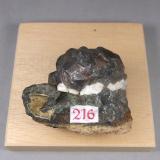 Tetraedrita<br />Mina Tadergount, Taskriout, Bordj-Mira, Distrito Darguina, Provincia Béjaïa, Argelia<br />5,8 x 4 x 4,5 cm.<br /> (Autor: J. G. Alcolea)