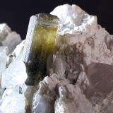 Elbaite<br />Beni Bouzra (Bni Bouzra), Chefchaouen Province, Tanger-Tetouan-Al Hoceima Region, Morocco<br />4 x 2,5 cm<br /> (Author: Volkmar Stingl)