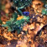 Azurita y MalaquitaMina Zapateros, Arroyo de Zapateros, Venta de Matagatos, Majar Nevado y Lagar, Málaga, Comarca Málaga-Costa del Sol, Andalucía, España< 1 mm (Autor: José Luis Zamora)