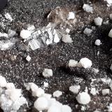 Strontianite, Dolomite, Quartz<br />Chante-Duc, Orpierre, Gap, Hautes-Alpes, Provence-Alpes-Côte d'Azur, France<br />4 x 3 cm<br /> (Author: Volkmar Stingl)