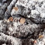 Cordierite<br />Funtanafigu Quarry, Marrubiu, Arci Mountain, Oristano Province, Sardinia/Sardegna, Italy<br />6,5 x 6 cm<br /> (Author: Volkmar Stingl)
