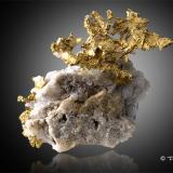 Oro<br />Mina De Maria, Colina Sage, Distrito Michigan Bluff, Condado Placer, California, USA<br />2cm x 3,5cm x 0,3cm<br /> (Autor: Pere Alonso)