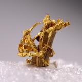 GoldTiglit, Assa-Zag Province, Guelmim-Oued Noun Region, Morocco6.5 mm x 7 mm (Author: Don Lum)