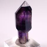 Quartz (variety amethyst scepter)Zona Brandberg, Región Erongo, Namibia40 mm x 17 mm x 15 mm (Author: Don Lum)