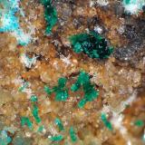Kipushita, Pseudomalaquita, Veszelyita, Piromorfita<br />Mina Kipushi, Kipushi, Cinturón de cobre de Katanga, Katanga (Shaba), República Democrática del Congo (Zaire)<br />Campo de visión 5,2 mm.<br /> (Autor: Antonio P. López)
