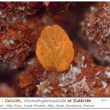 Calcite, Alumohydrocalcite, Siderite<br />Mas Dieu, Mercoirol, Alès, Gard, Occitanie, France<br />fov 4.0 mm<br /> (Author: ploum)