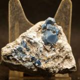 Cuarzo (variedad cuarzo azul)<br />Doleritas de Los Vives, Cerro del Agudo, Los Vives, Orihuela, Comarca Vega Baja del Segura, Alicante / Alacant, Comunidad Valenciana / Comunitat Valenciana, España<br />5 x 3.5 cm<br /> (Autor: Pedro Antonio)