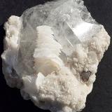 Scheelite, Calcite, Dolomite, QuartzMina Xianghualing, Xianghualing, Linwu, Prefectura Chenzhou, Provincia Hunan, China6 x 6 cm (Author: Volkmar Stingl)