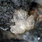 Cerusita, GalenaGrupo Minero La Cruz, Filón La Cruz, Linares, Comarca Sierra Morena, Jaén, Andalucía, EspañaGrupo de cristales de 7 mm. (Autor: Antonio P. López)