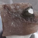 Boracite<br />Bernburg, Stassfurt, Saxony-Anhalt/Sachsen-Anhalt, Germany<br />1,5 x 1,2 cm<br /> (Author: Volkmar Stingl)