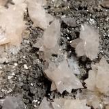 Calcite and Pyrite<br />Campiano Mine, Montieri, Grosseto Province, Tuscany, Italy<br />FOV 9 mm<br /> (Author: Firmo Espinar)