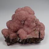 Rhodochrosite<br />Potosí Mine, Santo Domingo (Francisco Portillo), Santa Eulalia District, Municipio Aquiles Serdán, Chihuahua, Mexico<br />70 mm x 57 mm x 43 mm<br /> (Author: Don Lum)