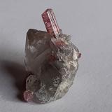 Elbaite (variety Rubellite), Quartz<br />Beni Bouzra (Bni Bouzra), Chefchaouen Province, Tanger-Tetouan-Al Hoceima Region, Morocco<br />2 x 2 cm<br /> (Author: Volkmar Stingl)