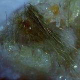MilleriteHalls Gap, Condado Lincoln, Kentucky, USA2 x 1 cm (Author: Volkmar Stingl)