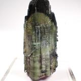 Elbaite (Tourmaline Group)<br />San Diego Mine, Gem Hill, Mesa Grande District, San Diego County, California, USA<br />60 mm x 26 mm x 25 mm<br /> (Author: Don Lum)