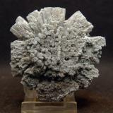 AragonitoLoma Bada, Petrer, Comarca Medio Vinalopó, Alicante / Alacant, Comunidad Valenciana / Comunitat Valenciana, España7.5 x 7.5 cm (Autor: Pedro Antonio)