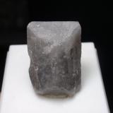 Danburita<br />Distrito Alto Chapare, Provincia Chapare, Departamento Cochabamba, Bolivia<br />20x25 mm<br /> (Autor: Ignacio)