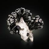 Olivenite<br />Milpillas Mine, Cuitaca, Municipio Santa Cruz, Sonora, Mexico<br />4.5 x 2.5 x 4.5 cm / main crystal: 2.0 cm.<br /> (Author: MIM Museum)
