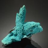 Chrysocolla<br />Lupoto Mine, Kakumba, Kipushi, Katanga Copper Crescent, Katanga (Shaba), Democratic Republic of the Congo (Zaire)<br />4.0 x 3.4 cm<br /> (Author: Michael Shaw)